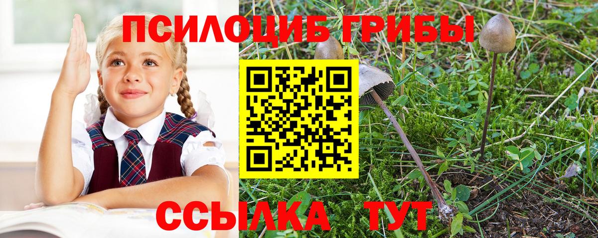 Рыбинск  Псилоцибиновые грибы мицелий  Псилоцибиновые грибы ЛСД  Вход с VPN 