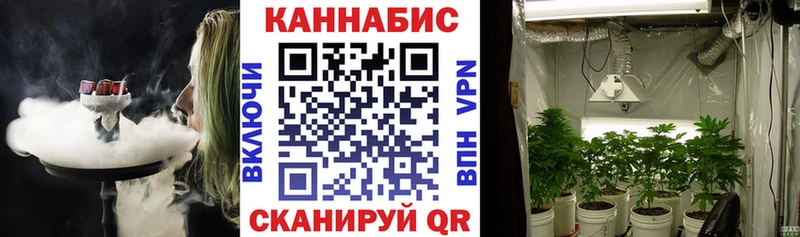 Бошки марихуана конопля  Рыбинск 